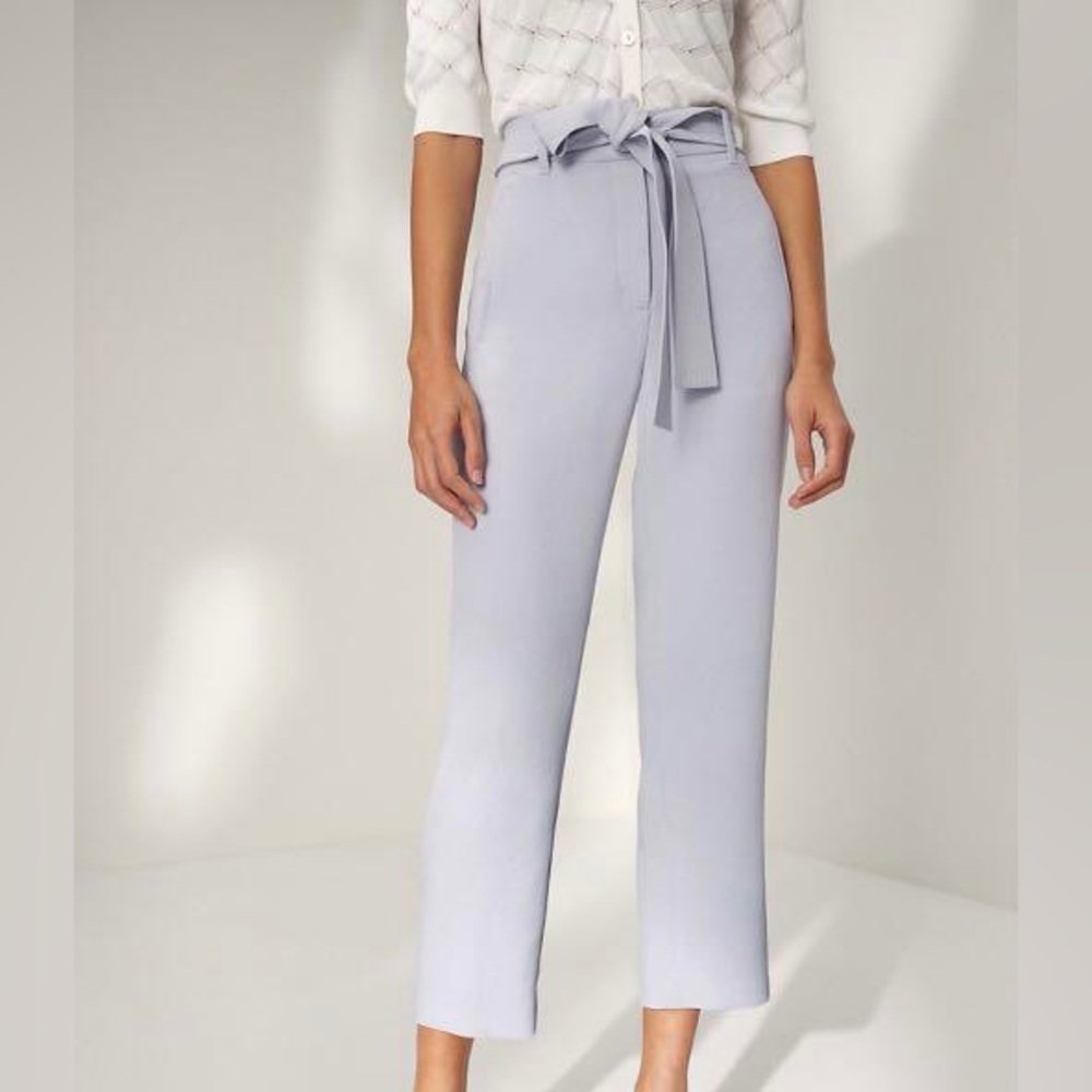 Aritzia Wilfred Tie-Waist Pants in Light blue